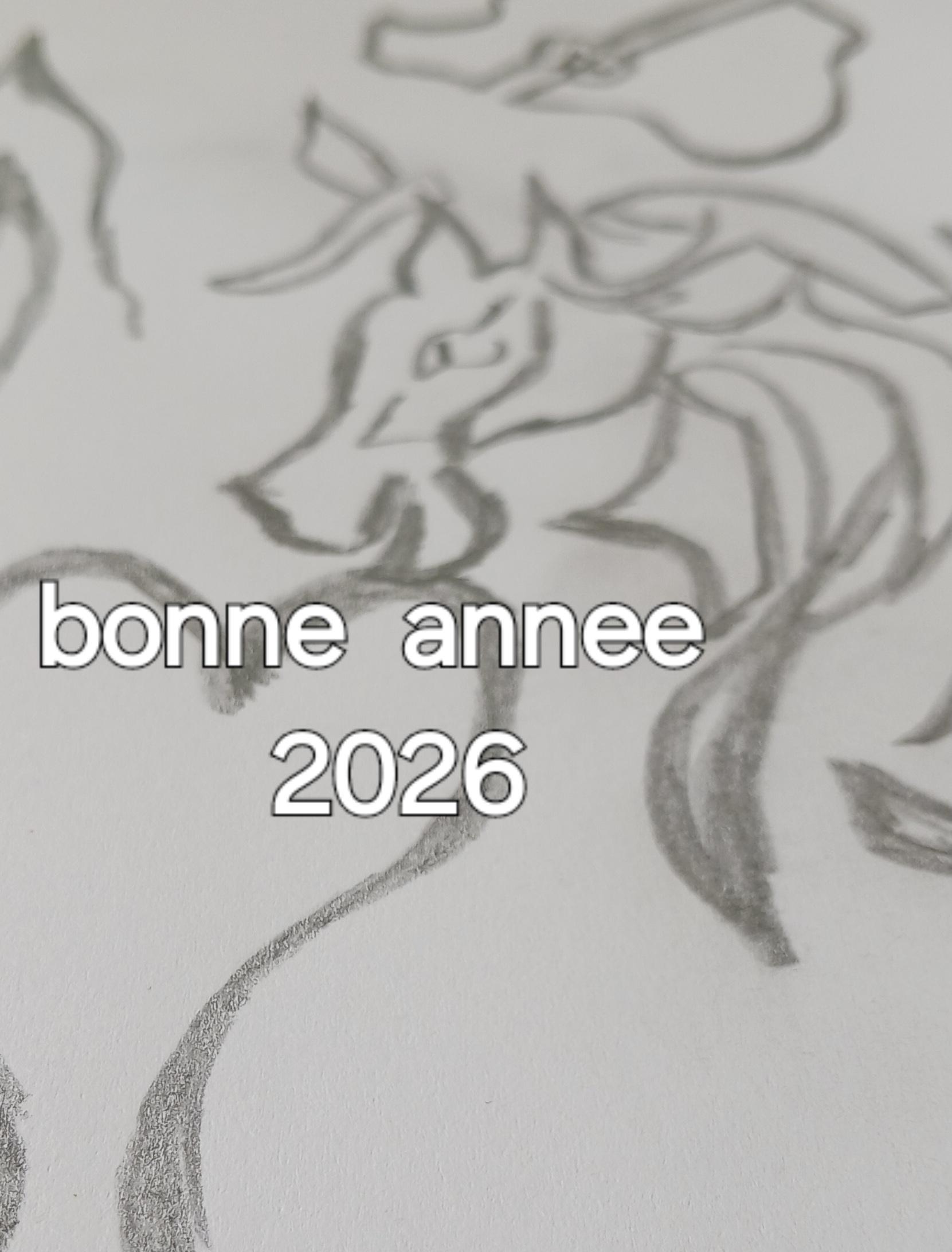 Nouvelle annee